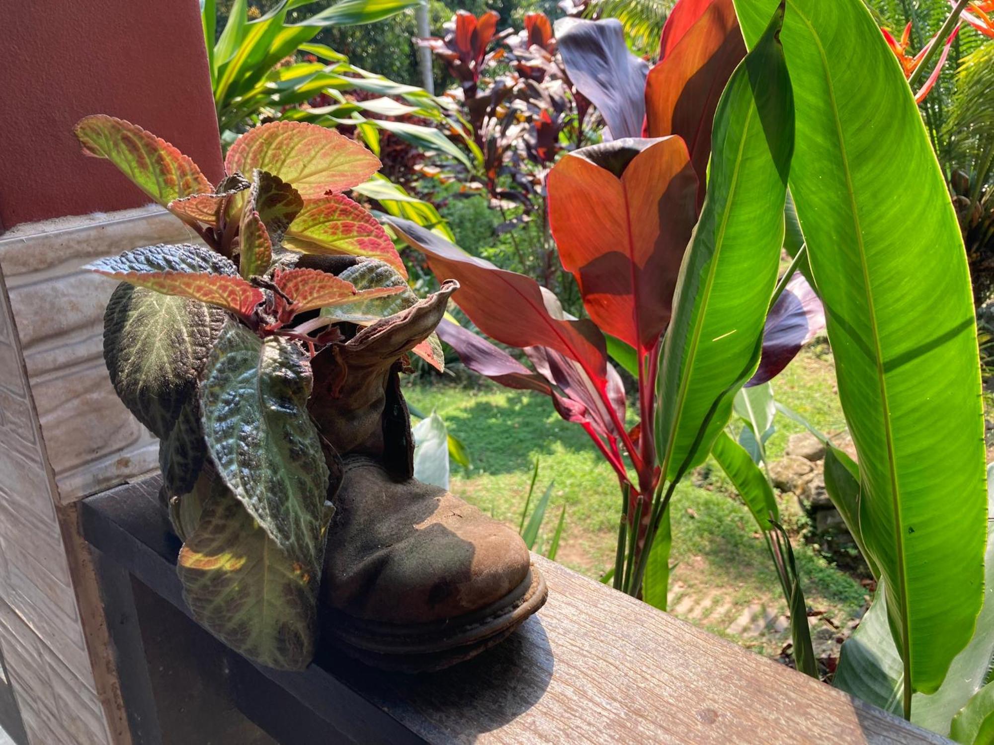 Casa Arariba - Ilha Grande - Илья-Гранди Экстерьер фото